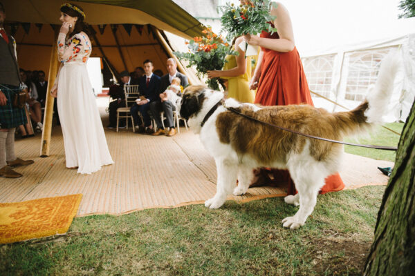 Garden Wedding, Dog friendly weddings, Tipi Ceremony, Intimate Weddings Cumbria, Wedding tipi scotland
