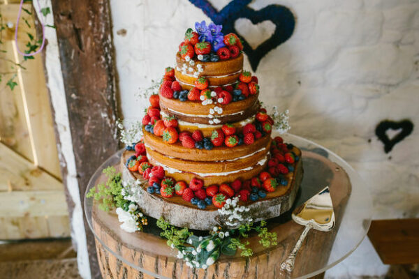 Three Tiered Naked Wedding Cake on our Sweetheart Tree Trunk Table