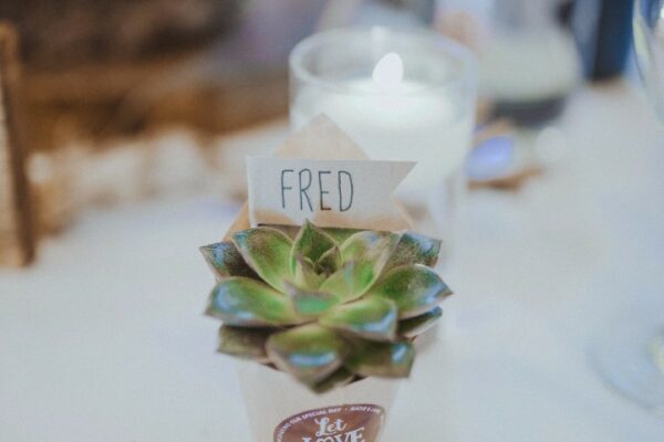living wedding flowers - sustainable wedding decorations