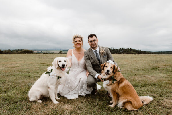 Weddings with dogs - dog friendly weddings - dogs at weddings