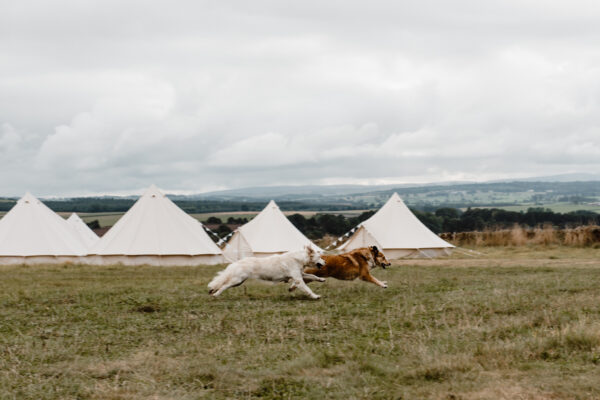 belle tents- tipi accommodation - wedding weekender - dog friendly wedding venue