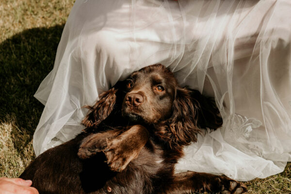 Outdoor Wedding - Tipi Tent Wedding Venue Bower House Inn - Dog Friendly Lake District Wedding - Dog Friendly Wedding