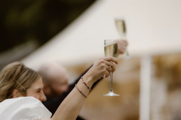 Cheers! Outdoor Wedding Ceremony for Sailcloth Marquee, Lake District Wedding