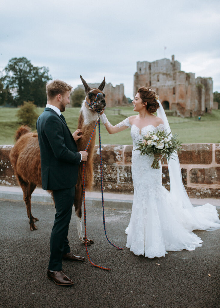 If you're feeling braver, why not upgrade your alpaca to a llama for your fluffy wedding guests!